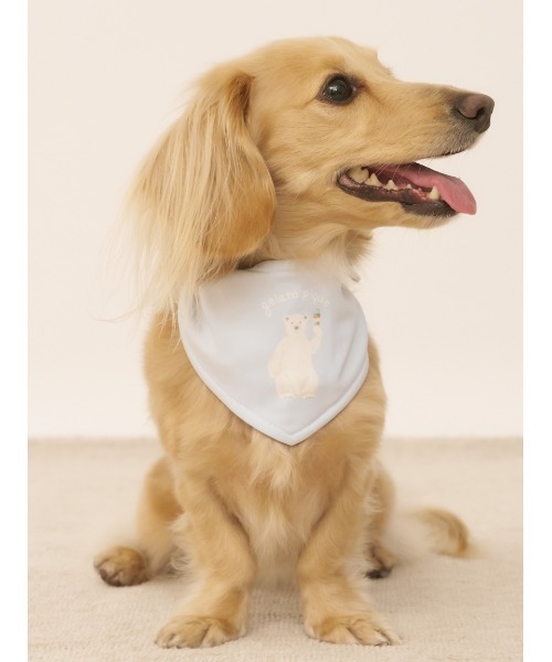 満点の gelato 「CAT＆DOG」シロクマ柄保冷剤入れバンダナ 服 犬 pique ルームウェア・パジャマ