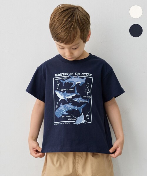 ANY（エニィ） tシャツ 「綿100％」サメプリント 半袖Tシャツ キッズ