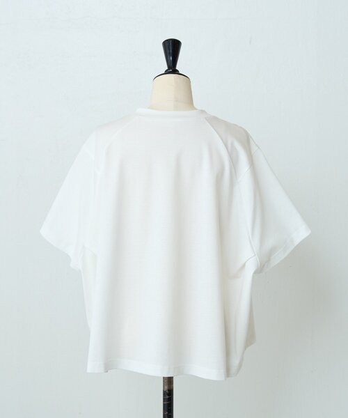 BEARDSLEY（ビアズリー） tシャツ スクエアTee レディース : ZOZOTOWN