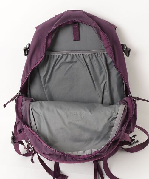THE NORTH FACE（ザ ノースフェイス） Gemini 20 リュック - パープル 