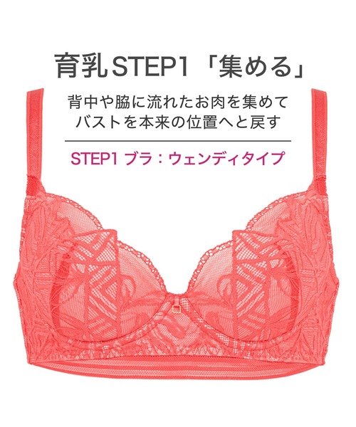 BRADELIS NewYork（ブラデリスニューヨーク） ブラジャー ウェンディ