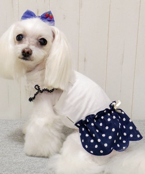ペット 犬と生活 いぬとせいかつ ミニョンワンピースクール 犬服 ドッグウェア Zozotown Paypayモール店 通販 Paypayモール