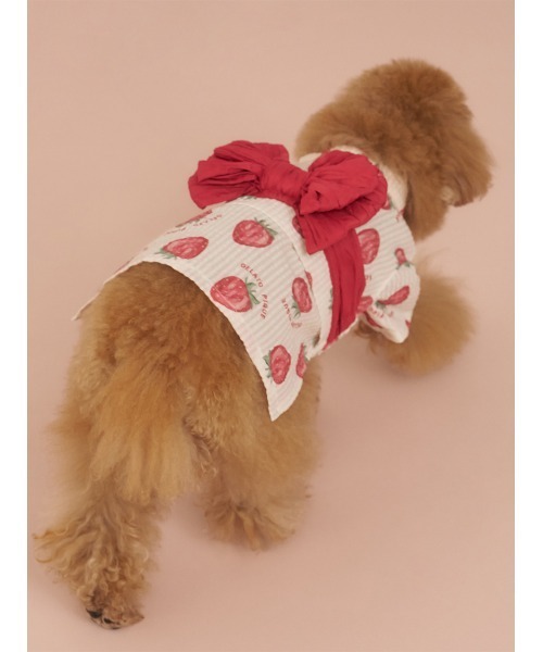 gelato pique 犬 服 「CAT＆DOG」浴衣 : ZOZOTOWN Yahoo!店