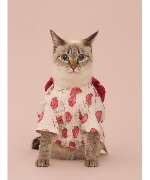 ジェラピケ 浴衣 苺 くま CAT&DOG リメイク済 2着セット 犬 猫 撮影