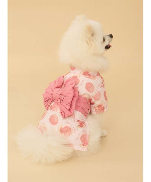 ジェラートピケ 犬 フルーツ柄浴衣 M 2着セット gelato pique（ジェラートピケ）【CAT&DOG】【販路限定商品