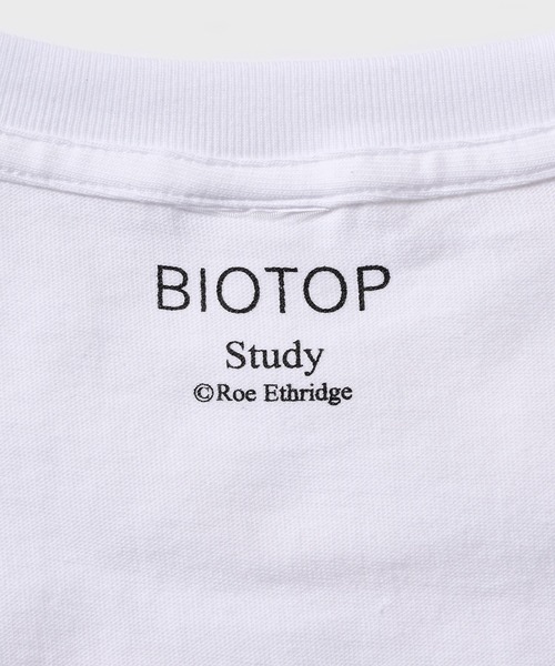 tシャツ 「STUDY for BIOTOP」Photo T-Shirts 26SS レディースの画像