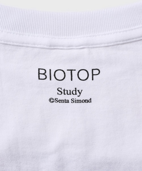tシャツ 「STUDY for BIOTOP」Photo T-Shirts 26SS レディースの画像