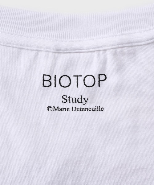 tシャツ 「STUDY for BIOTOP」Photo T-Shirts 26SS レディースの画像