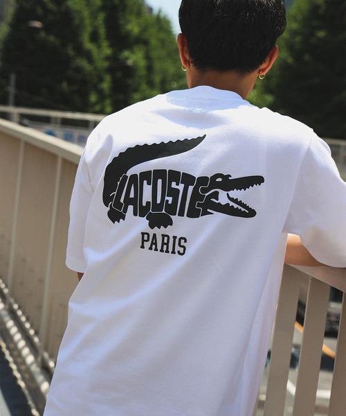 LACOSTE tシャツ 「別注」LACOSTE / ロゴTシャツ メンズ