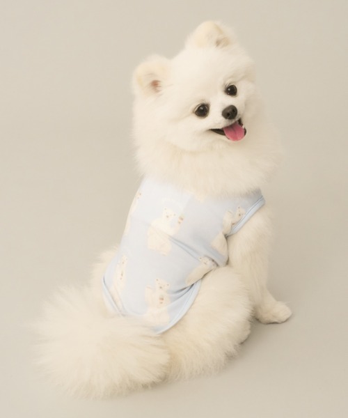 gelato pique 犬 服 「CAT＆DOG」「接触冷感」シロクマ柄COOLING