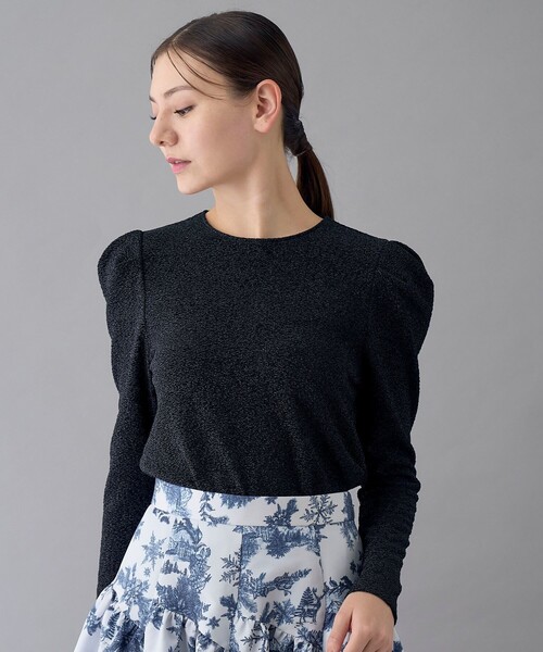 トップス ayn ANAYI（アナイ） tシャツ シャイニージャージークルー プルオーバー