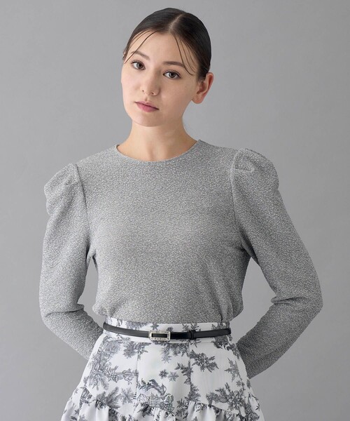 ANAYI（アナイ） tシャツ シャイニージャージークルー プルオーバー