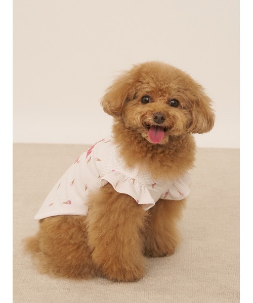 gelato pique 犬 服 「CAT＆DOG」アイス柄フリルワッフルプル