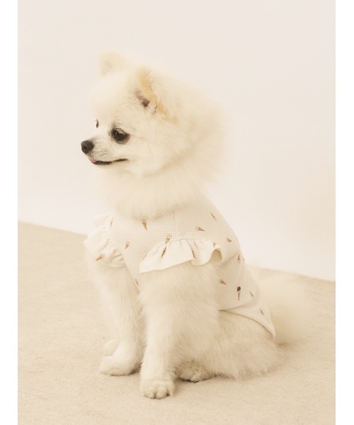 GELATO PIQUE 犬服 3点セット Sサイズ 恐竜 アイス サメ 美品 ウェア ( CAT＆DOG)｜ルームウェア・パジャマ通販のgelatopique