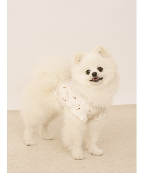 GELATO PIQUE 犬服 3点セット Sサイズ 恐竜 アイス サメ 美品 GELATO PIQUE 犬服 3点セット Sサイズ 恐竜 アイス サメ 美品
