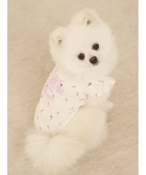 犬服セット EDWIN GELATO PIQUE gelato pique 犬 服 「CAT＆DOG」ベビモコチワワジャガードプル