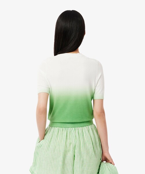 LACOSTE（ラコステ） ニット セーター グラデーションニットTシャツ