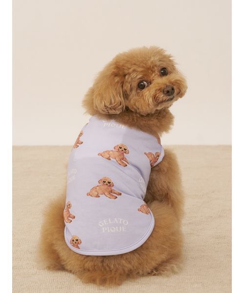 gelato pique 犬 服 「CAT＆DOG」「接触冷感」サマートイ