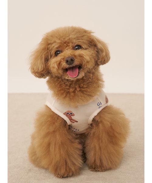 ★週末値下げ★gelato pique トイプードル柄プルオーバー犬用服　2点 gelato pique 犬 服 「CAT＆DOG」「接触冷感」サマートイ