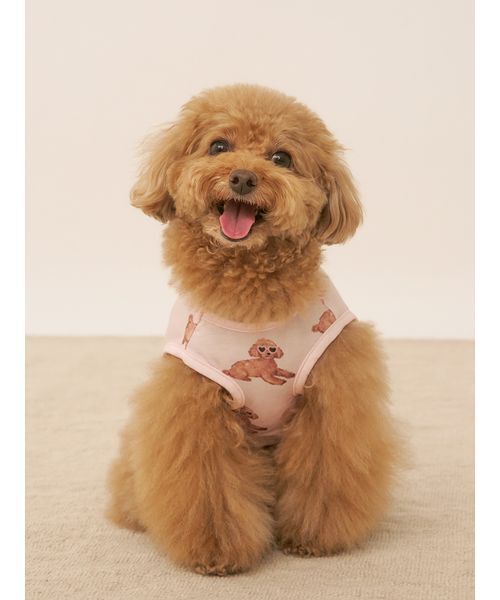 ジェラートピケ 犬服 2点セット CAT&DOG】スムーズィー2ボーダーdogパーカ(ウェア)｜ルーム