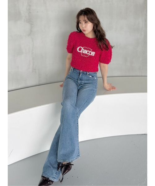 SNIDEL（スナイデル） 半袖ニット「Chacottコラボ」 ONE SIZE シルバー