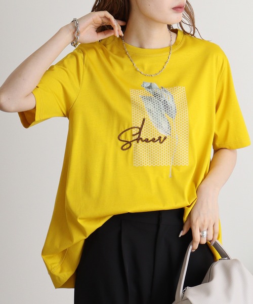tシャツ BRODIAEA イラストプリント極サラTシャツ レディース tシャツ BRODIAEA イラストプリント極サラTシャツ レディース