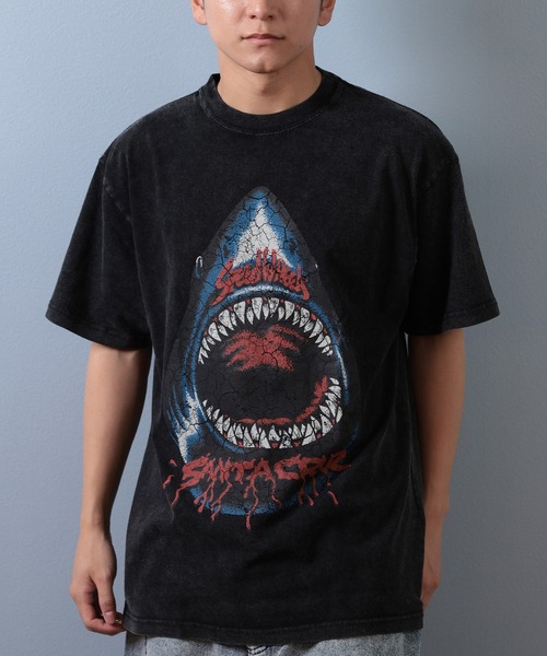 サンタクルーズのTシャツです SANTA CRUZ サンタクルーズ Tシャツ 半袖 メンズ スクリーミング