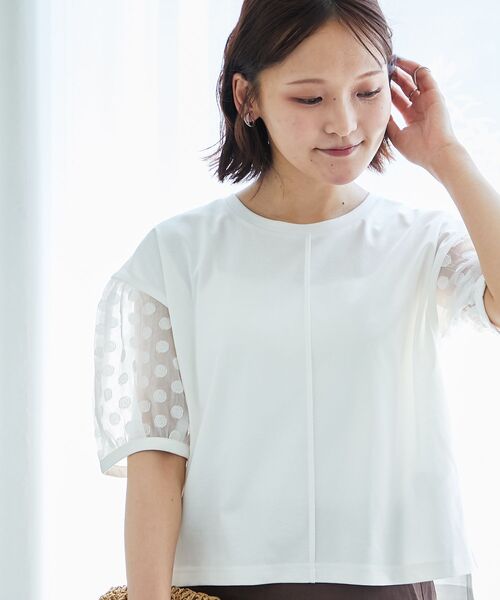 le.coeur blanc（ルクールブラン） tシャツ 半袖 TORRAZZO DONNAドット 