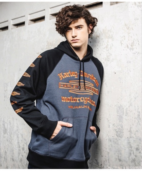 Harley Davidson（ハーレー・ダビッドソン） パーカー オールド