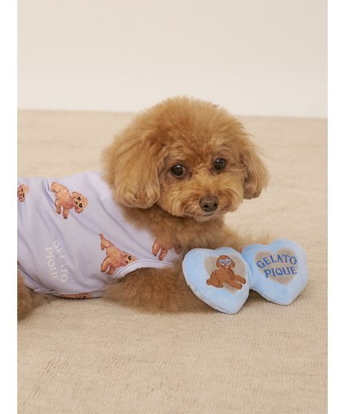 gelato pique 犬 おもちゃ 「CAT＆DOG」トイプードルサングラス