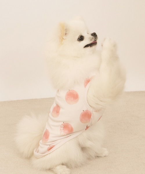 【新品未使用】gelate pique ポメラニアンプルオーバー gelato pique 犬 服 「CAT＆DOG」「接触冷感」フルーツ柄プル