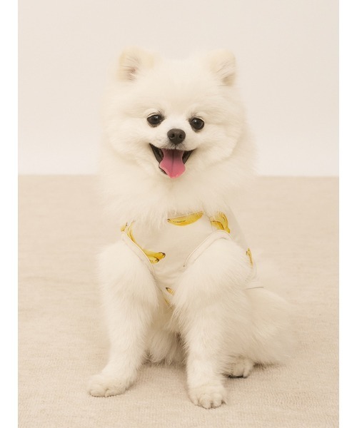 gelato pique 犬 服 「CAT＆DOG」「接触冷感」フルーツ柄プル