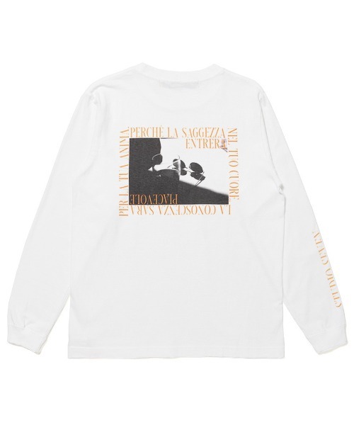 STUDIO SEVEN tシャツ Photo Graphic LS Tee -Glass-「STUDIOSEVEN 