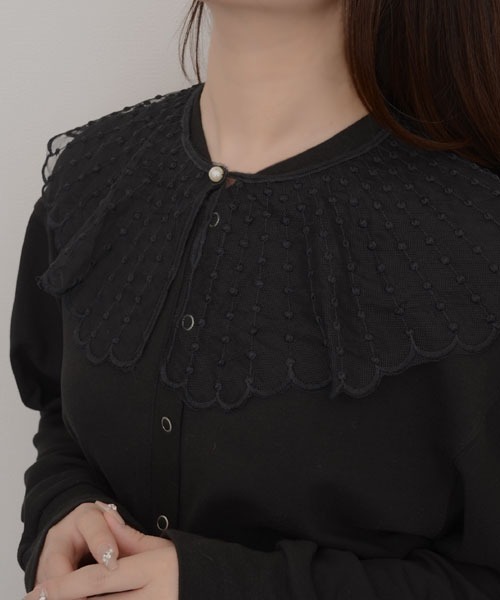 VIBGYOR Women つけ襟 付け襟 「resonance」レース刺繍 ドット