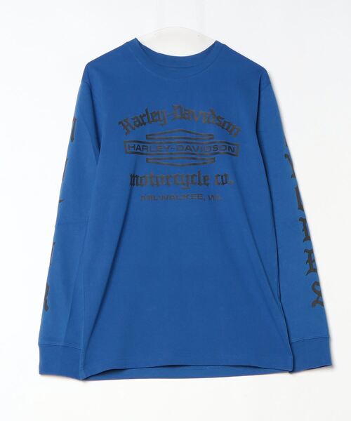 Harley Davidson（ハーレー・ダビッドソン） tシャツ オールド