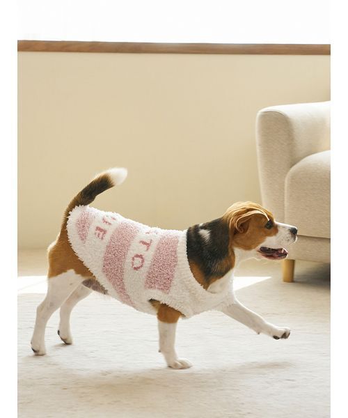 gelato pique 犬服 2点セット gelato pique（ジェラートピケ） 犬 服 「CAT＆DOG」ラージサイズ