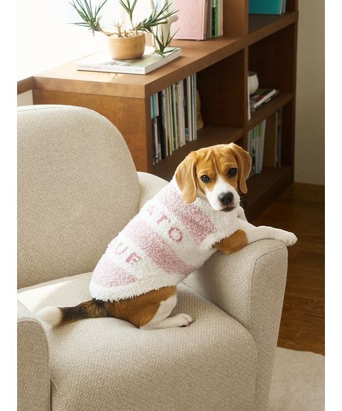 gelato pique（ジェラートピケ） 犬 服 「CAT＆DOG」ラージサイズ