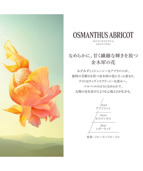 L'OCCITANE（ロクシタン） 香水 フレグランスディスカバリーキット