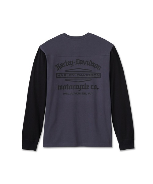 Harley Davidson（ハーレー・ダビッドソン） tシャツ オールド