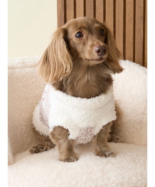 gelato pique（ジェラートピケ） 犬 服 「CAT＆DOG」ジェラート