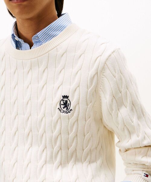 TOMMY HILFIGER（トミー・ヒルフィガー） セーター ニット クラシック