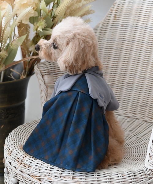 犬ワンピース One Octave 犬 服 Octave/ボレロ付ワンピ : ZOZOTOWN Yahoo!店