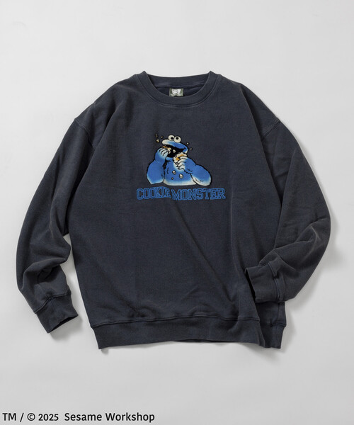その他ブランド / セサミストリート/クッキーモンスター/スウェット/L/コットン/GRY FREAK'S STORE（フリークスストア） トレーナー スウェット SESAME