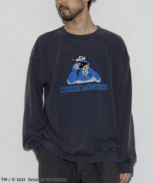 その他ブランド / セサミストリート/クッキーモンスター/スウェット/L/コットン/GRY FREAK'S STORE（フリークスストア） トレーナー スウェット SESAME