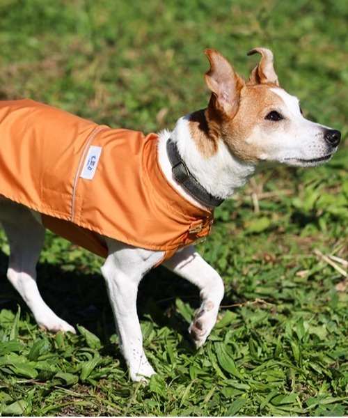 ペット 犬と生活 いぬとせいかつ 花粉ガードコート 犬服 ドッグウェア Zozotown Paypayモール店 通販 Paypayモール