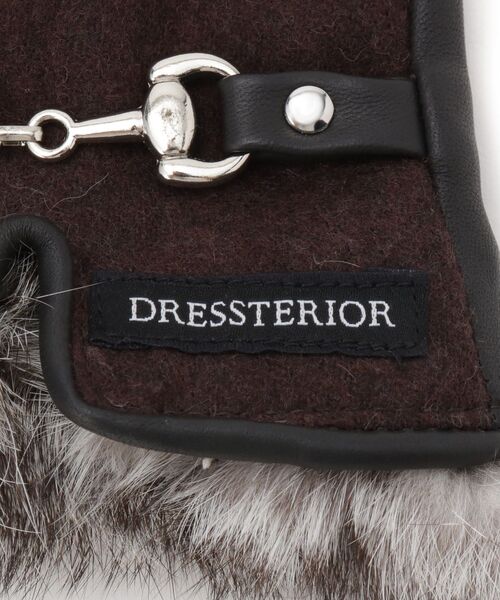 DRESSTERIOR（ドレステリア） 手袋 ハーネスビット／ファー付き無地