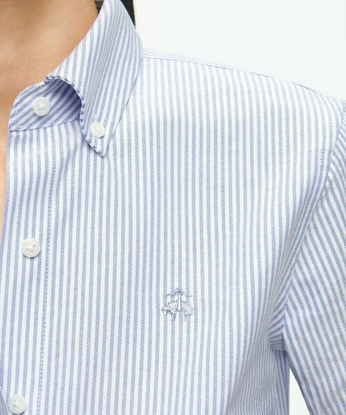 ブラウス シャツ コットン オックスフォード キャンディストライプ ボタンダウンシャツ Classic Fit レディース コットン オックスフォード キャンディストライプ ボタンダウン