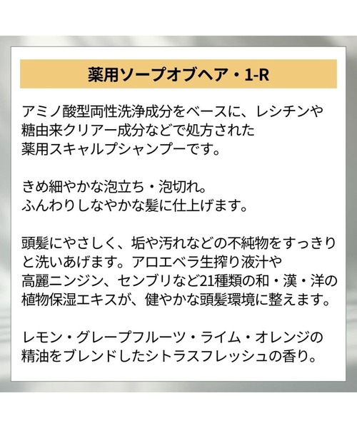 シャンプー 薬用ソープオブヘア・1-R_3