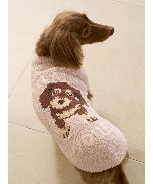 gelato pique 犬 服 「CAT＆DOG」ベビモコダックスフンドジャガード