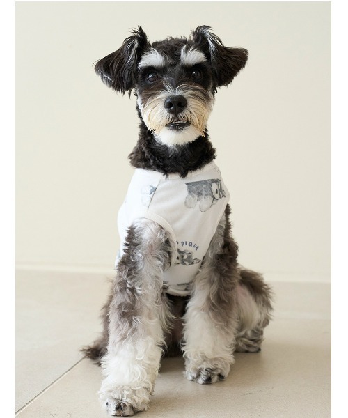 ジェラートピケ【CAT&DOG】シュナウザー柄カットソープルオーバー gelato pique（ジェラートピケ） 犬 服 「CAT＆DOG」シュナウザー柄